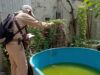 Quintana Roo, entre los seis estados con mayor incidencia de dengue en el país