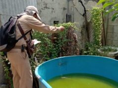 Quintana Roo, entre los seis estados con mayor incidencia de dengue en el país