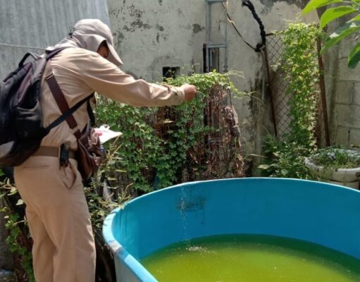 Quintana Roo, entre los seis estados con mayor incidencia de dengue en el país