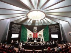 Con la reforma judicial, ya serían 10 veces que le ‘enmiendan la plana’ al Congreso del Estado, advierte Observatorio Legislativo