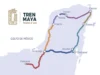 Plantea PAN reorientar recursos de Tren Maya a seguridad, sargazo e infraestructura