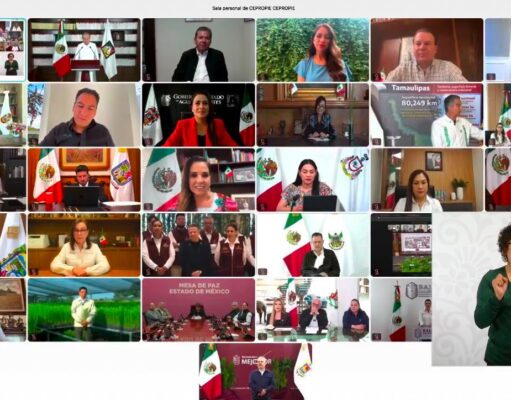 Quintana Roo se suma a la Jornada Nacional de Reforestación 2026 para restaurar ecosistemas en el sur del estado