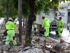 Atiende mega jornada de limpieza camellones y avenidas principales