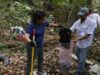 Atiende Ayuntamiento de Benito Juárez cenotes urbanos con limpieza permanente