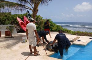 Bomberos de Tulum rescatan a tortuga que cayó en alberca