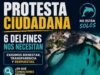 Convocan a protesta frente a Semarnat por situación de delfines de la empresa Dolphin Discovery