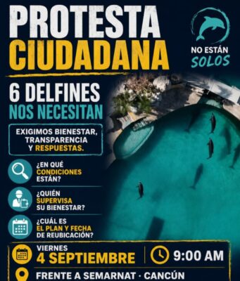 Convocan a protesta frente a Semarnat por situación de delfines de la empresa Dolphin Discovery