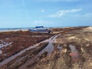 Concentran Playa del Carmen y Tulum los mayores niveles de contaminación hídrica en QRoo