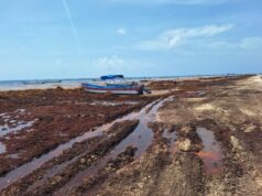 Concentran Playa del Carmen y Tulum los mayores niveles de contaminación hídrica en QRoo