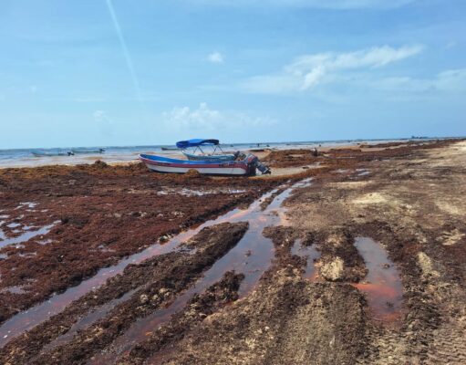 Concentran Playa del Carmen y Tulum los mayores niveles de contaminación hídrica en QRoo