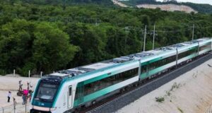 Opinión | Tren Maya: Un transporte para los playenses y cancuneses | Y la vida siguió | Hugo Alday Nieto