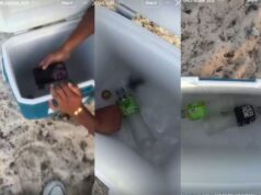 Investigarán presunto maltrato de crías de tortugas en Playa del Carmen