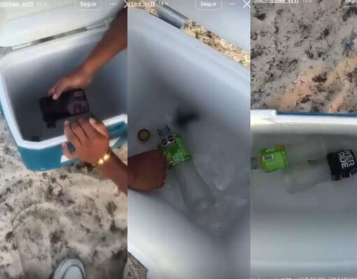 Investigarán presunto maltrato de crías de tortugas en Playa del Carmen