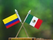 Opinión | Cuado la ciudadanía quiere proyectos, no caudillos | Ignacio Alonso Velasco