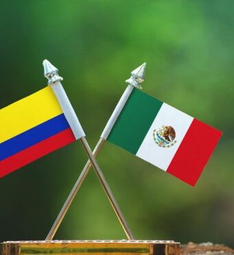 Opinión | Cuado la ciudadanía quiere proyectos, no caudillos | Ignacio Alonso Velasco