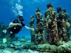 Pierde Museo Subacuático de Arte Cancún 20 % de reservas este verano: sargazo y falta de promoción, los factores