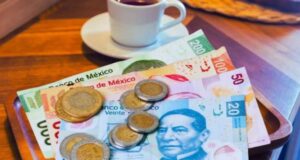 Opinión | ¿Quienes trabajan en restaurantes prefieren un salario digno a las propinas? | Alma Mater | Mauro Berumen Calderón