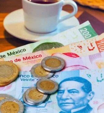 Opinión | ¿Quienes trabajan en restaurantes prefieren un salario digno a las propinas? | Alma Mater | Mauro Berumen Calderón