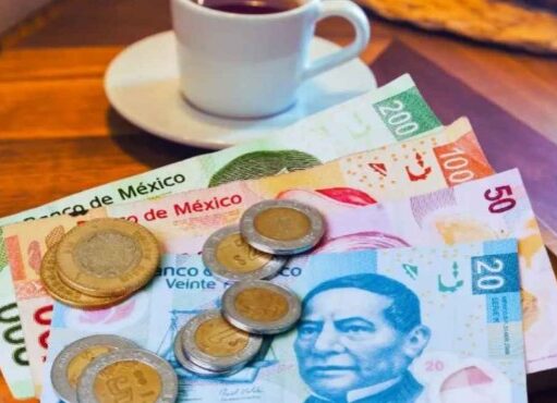 Opinión | ¿Quienes trabajan en restaurantes prefieren un salario digno a las propinas? | Alma Mater | Mauro Berumen Calderón