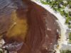 Alerta en Quintana Roo por arribo de otras 600 mil toneladas de sargazo