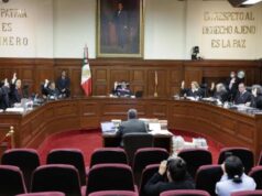 Confía asociación DMAS en que SCJN establezca precedentes a favor del derecho a un medio ambiente sano