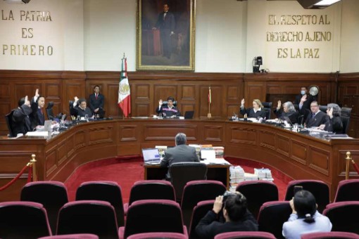 Confía asociación DMAS en que SCJN establezca precedentes a favor del derecho a un medio ambiente sano