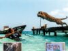 Respaldan a “Pepe Tigre” mientras Profepa no logra revisar al jaguar en Cancún
