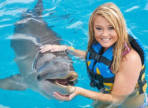 Rechaza SCJN frenar restricciones a la reproducción de delfines en cautiverio