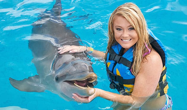 Delfines 10 sep