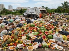 Tira Cancún toneladas de comida mientras 493 mil quintanarroenses enfrentan carencia alimentaria