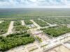 Plantea Semarnat reubicar futuro centro financiero de Cancún
