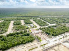 Plantea Semarnat reubicar futuro centro financiero de Cancún