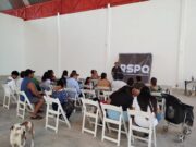 Superan partidos locales de Quintana Roo verificación de militancia