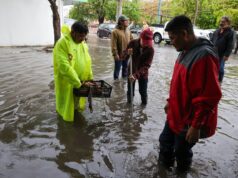 Supervisa Ana Paty Peralta “Operativo Lluvia” en Cancún