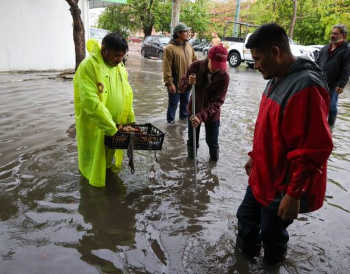 Supervisa Ana Paty Peralta “Operativo Lluvia” en Cancún