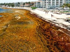 Concentraría Marina recursos y equipo para contener el sargazo desde el mar en 2027