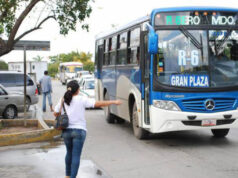 Anuncian horarios especiales para el servicio de transporte público en Cancún por fiestas patrias