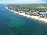 Mantiene Puerto Morelos atención permanente en playas para combatir el sargazo