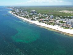 Mantiene Puerto Morelos atención permanente en playas para combatir el sargazo