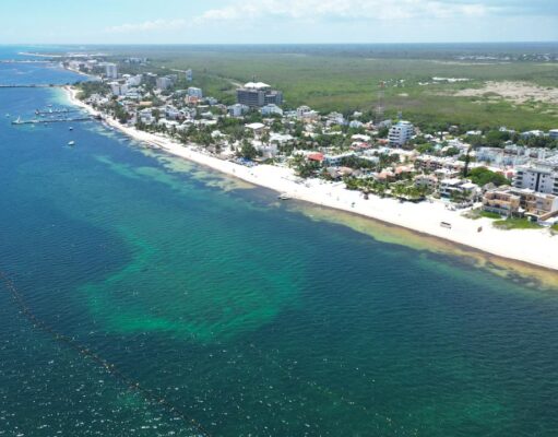 Mantiene Puerto Morelos atención permanente en playas para combatir el sargazo