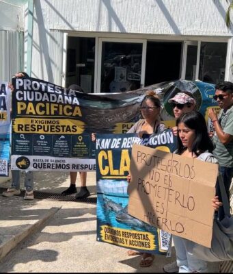 Protestan para exigir reubicación de delfines en Ventura Park