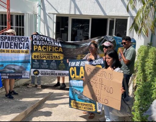 Protestan para exigir reubicación de delfines en Ventura Park