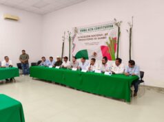 Impulsan productores del país al bambú como alternativa para diversificar campo de Quintana Roo