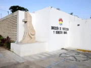 Aclara Bienestar Animal de Cancún que cremaciones no son método de sacrificio