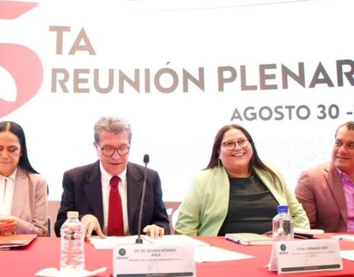 Definirá Morena en septiembre coordinaciones municipales