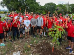 Continúa “Arboriza Cancún” atendiendo la avenida 20 de Noviembre
