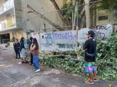 Vecinos forman ‘valla humana’ para evitar traslado de álamo en Playa del Carmen