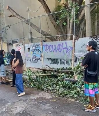 Vecinos forman ‘valla humana’ para evitar traslado de álamo en Playa del Carmen