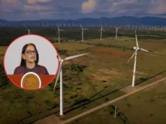 Impulsarán parque eólico en el sur de Quintana Roo con inversión de 4 mil 400 mdp