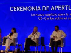 Analiza la Unión Europea 39 propuestas de aprovechamiento de sargazo